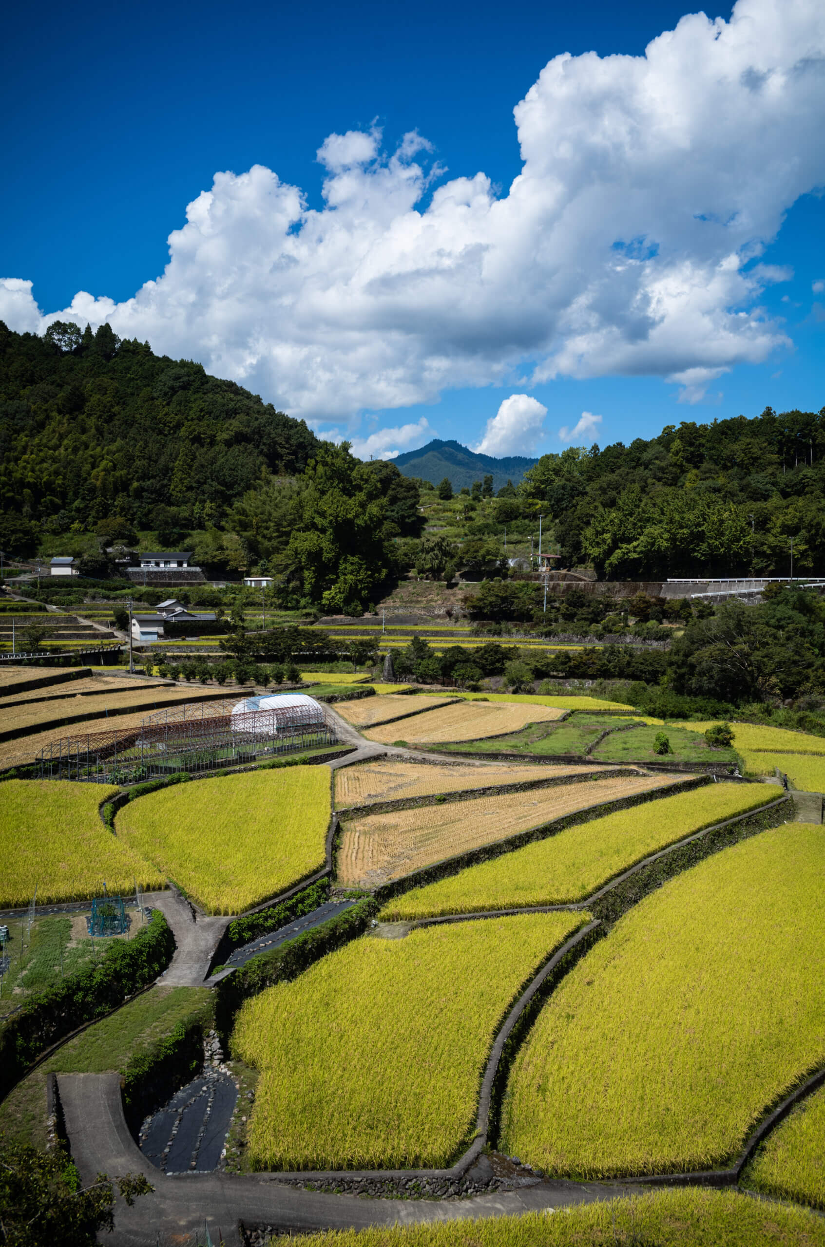 70歳を迎える神山にあかりを灯す人たち